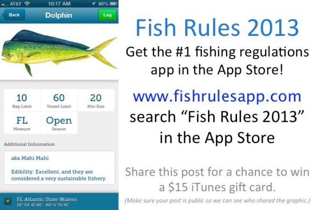 598582_539762316055480_2123568146_n