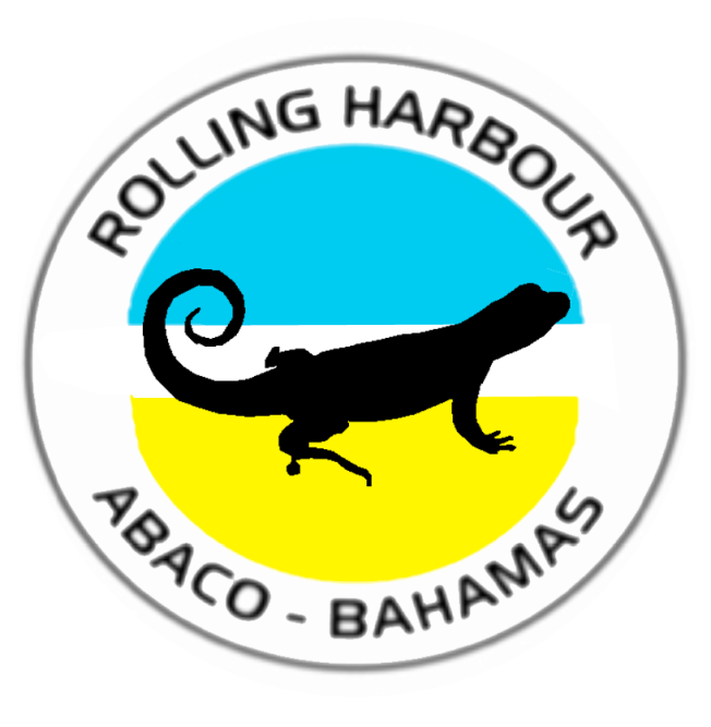 SPIDER WASPS & TARANTULA HAWKS: DON’T MESS WITH THESE GUYS | ROLLING ...