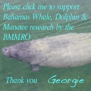Georgie Manatee BMMRO SUPPORT LOGO