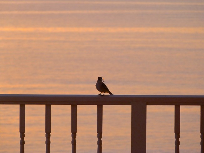 Balcony for DCB FB P1060656
