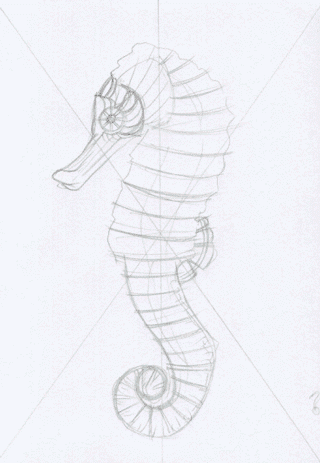 Seahorse by Alex Konahin