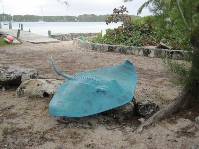 Bronze Stingray, Little Harbour, Abaco Bahamas (π Rolling Harbour)