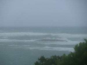 Irene@RollingHarbour