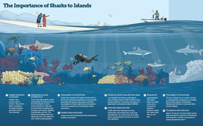 11074985_775471802547996_9117980232907992620_o