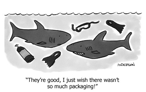 Shark Cartoon
