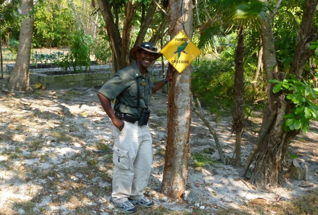 Ricky Johnson Bahama Palm Shores 1