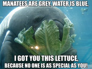 Savethemanatee.org