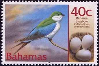 Bahama Swallow Stamp