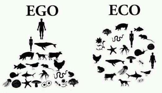 EGO -ECO graphic