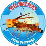 1385293_637775596272976_1729070909_n