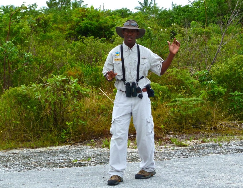 Ricky Johnson Pishing Woodstars Crossing Rocks Abaco