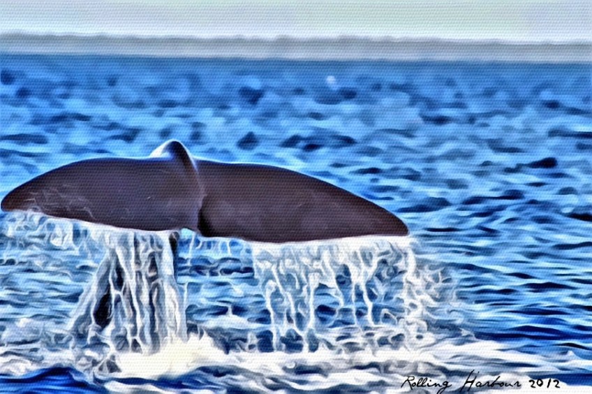 Whale Painting BMMRO