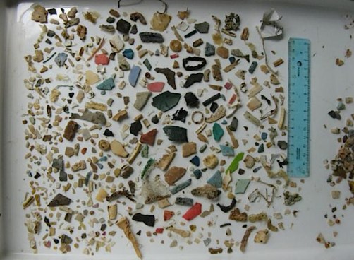 http://www.wired.com/wiredscience/2011/03/sea-turtle-plastic/