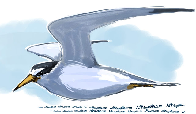 Least-Tern