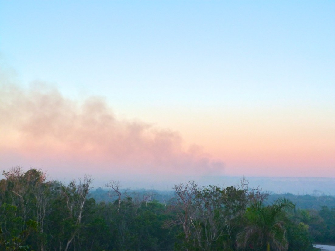 Forest Fires on Abaco, Bahamas Forest Fires, Abaco 12