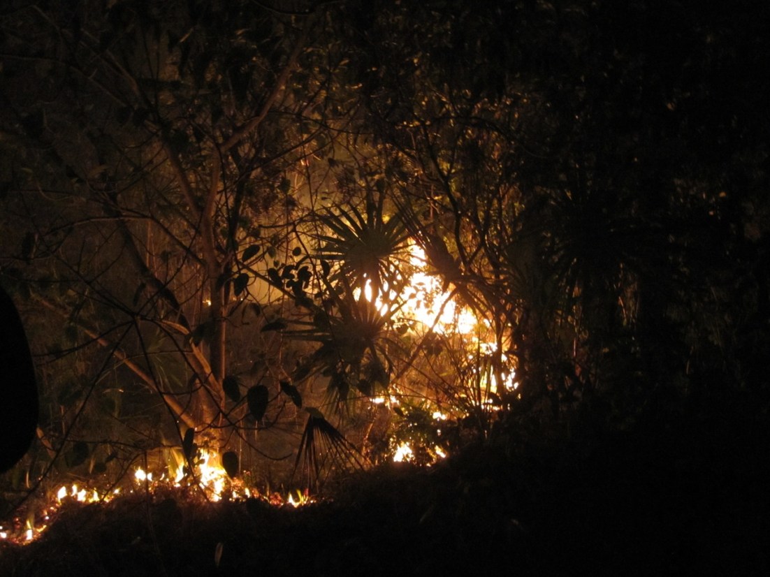 Forest Fires on Abaco, Bahamas Forest Fires, Abaco 2