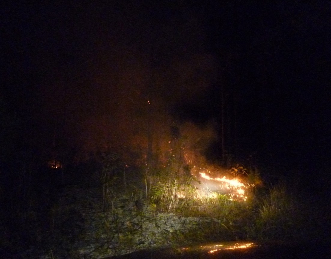 Forest Fires on Abaco, Bahamas Forest Fires, Abaco 5
