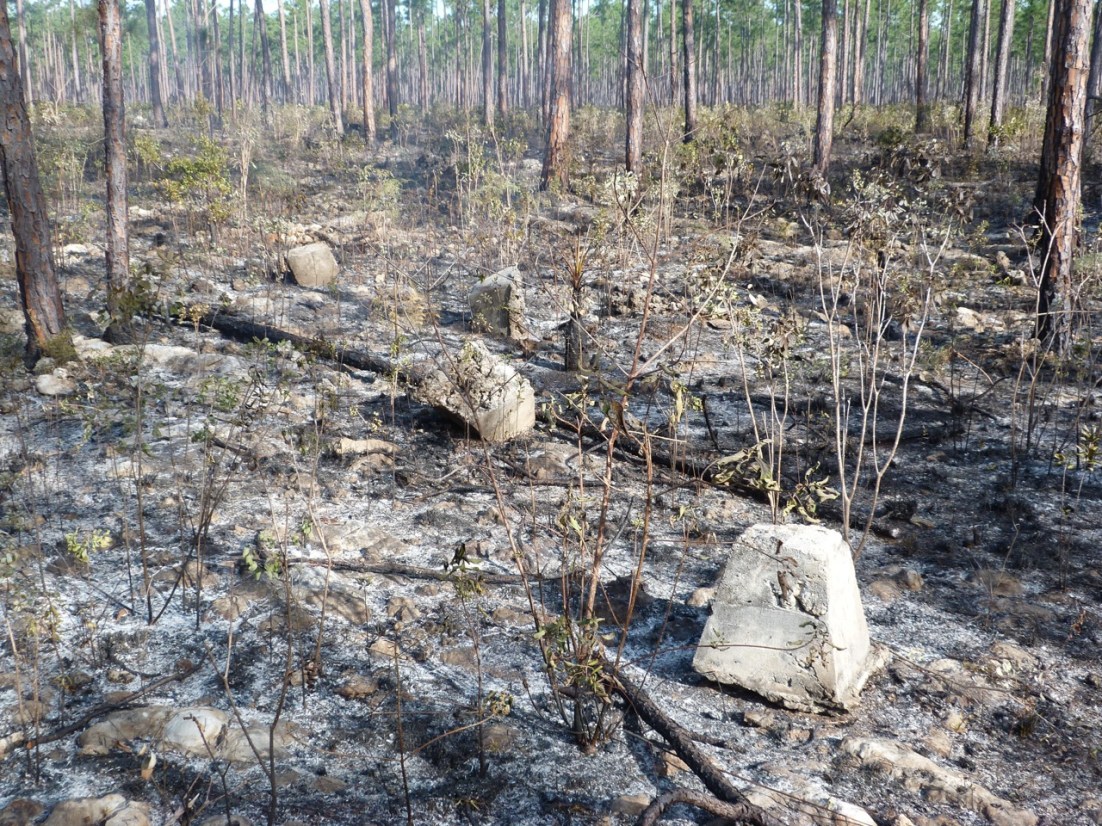 Sawmill Sink Abaco 11