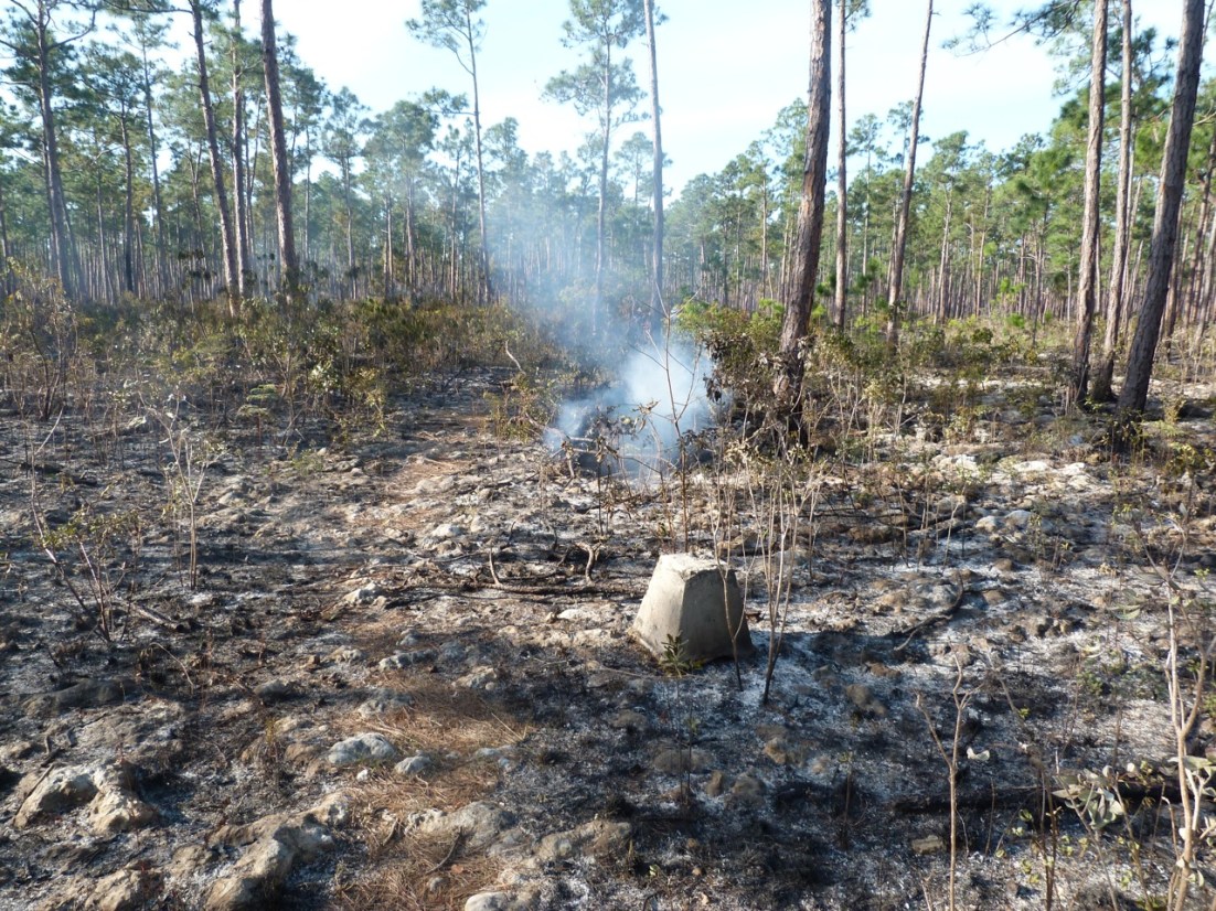 Sawmill Sink Abaco 5