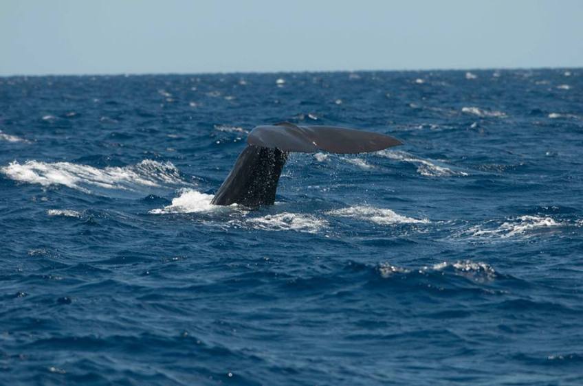 374338_596998896986007_1736456956_n