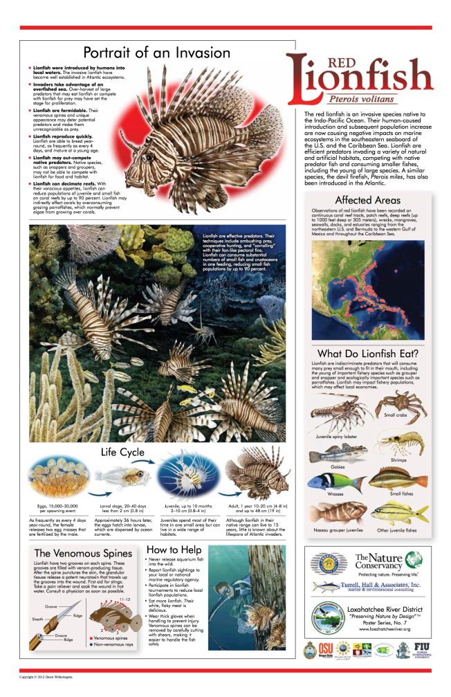 Loxahatchee River District Lionfish Poster