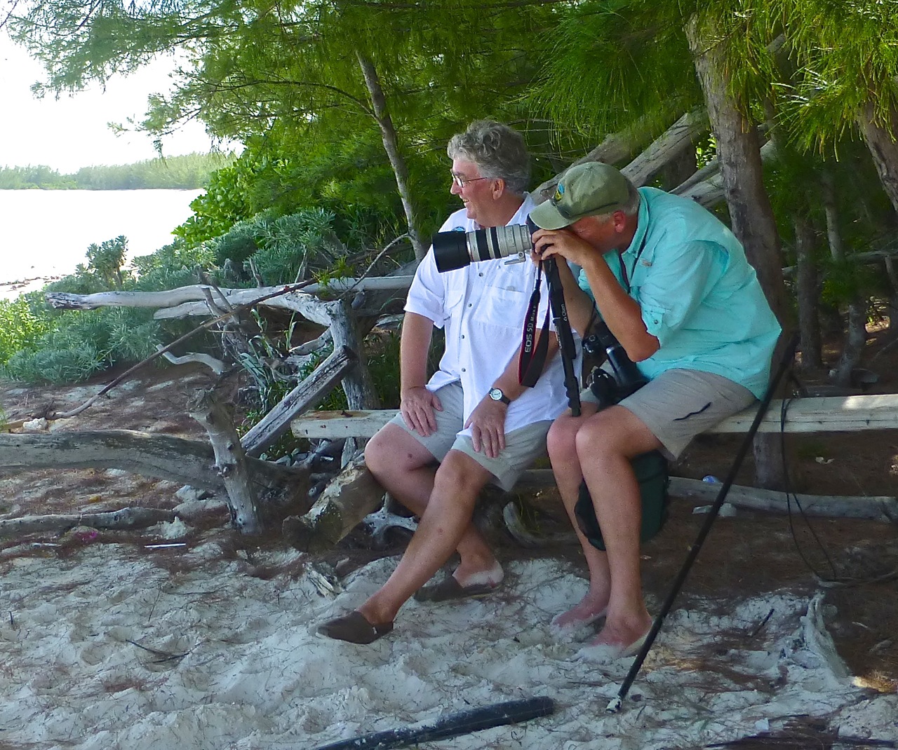 Wildlife Photography on Abaco - Peter Mantle / Rolling Harbour at Casuarina Wildlife Photography on Abaco 10
