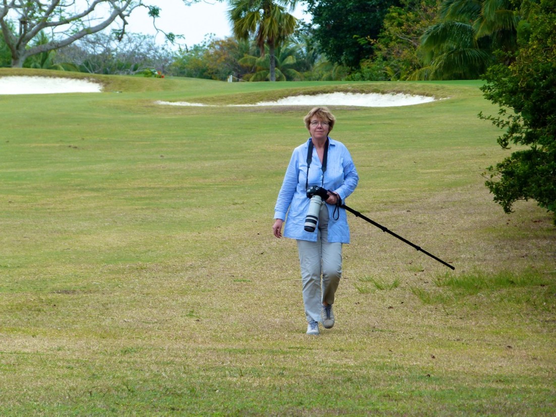 Wildlife Photography on Abaco 3
