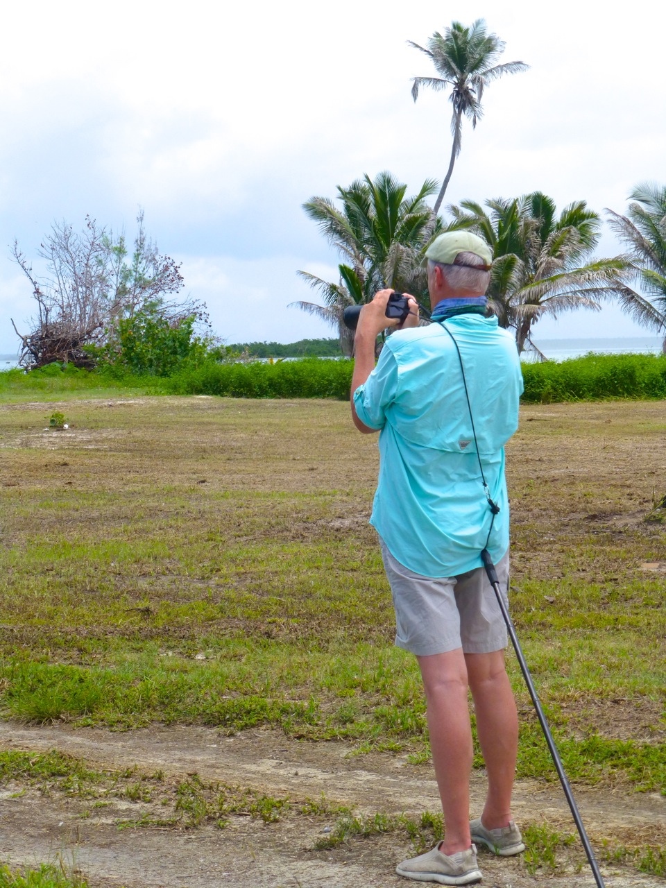 Wildlife Photography on Abaco - Sandy Point Wildlife Photography on Abaco 8