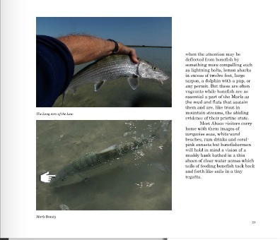 Abaco Backcountry Grab 6