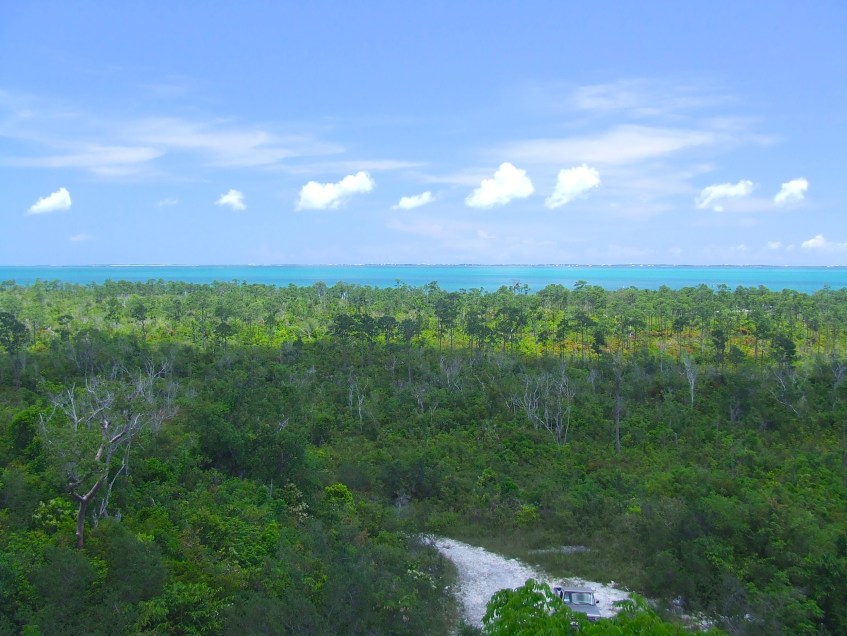 Frank View from Tower 82 copy