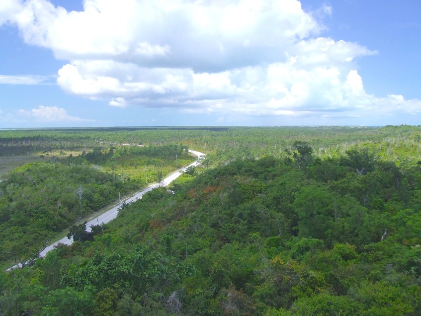 Frank View from Tower 83 copy