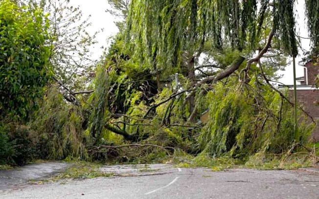 readers-storm-10_2715781k