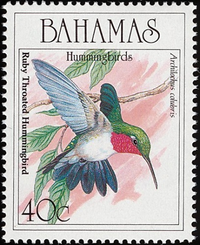 Bahamas-stamp6066hummingbird5