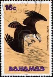 Bahamas Wildlife Stamp Osprey