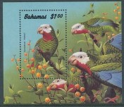 bahamas_90_parrot_ms
