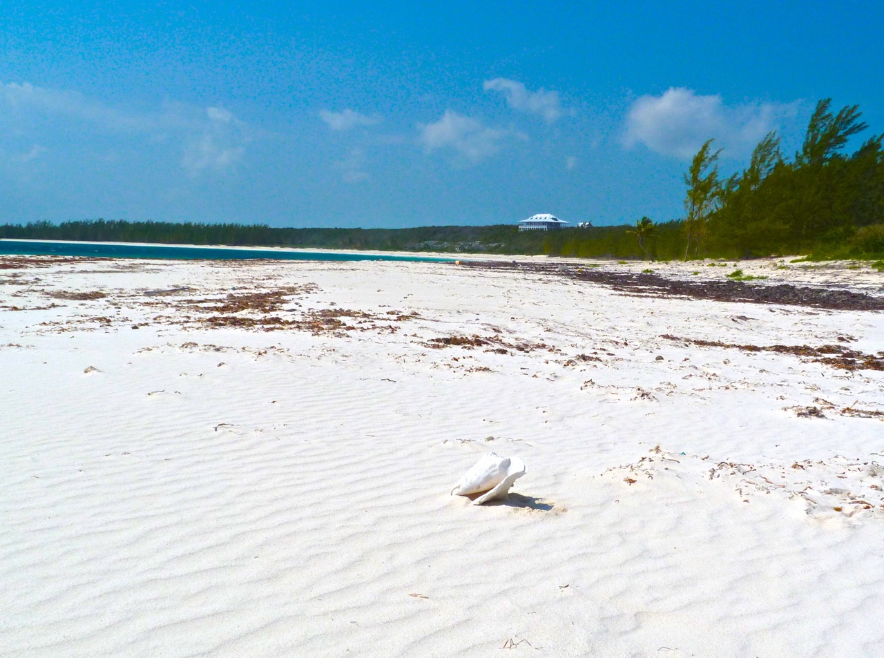 Delphi Beach + Shell