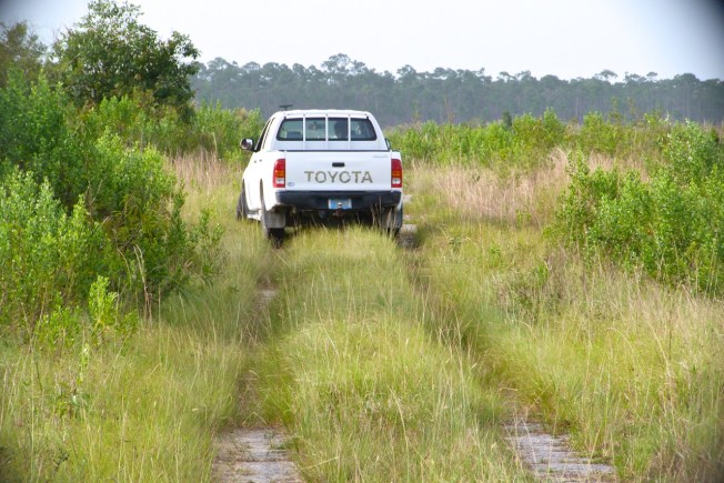 Toyota Truck, Abaco Backcountry
