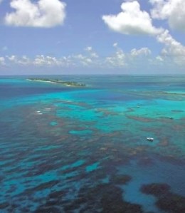 Fowl Cays Nat Park (BNT)