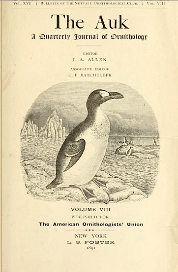 The Auk 1891