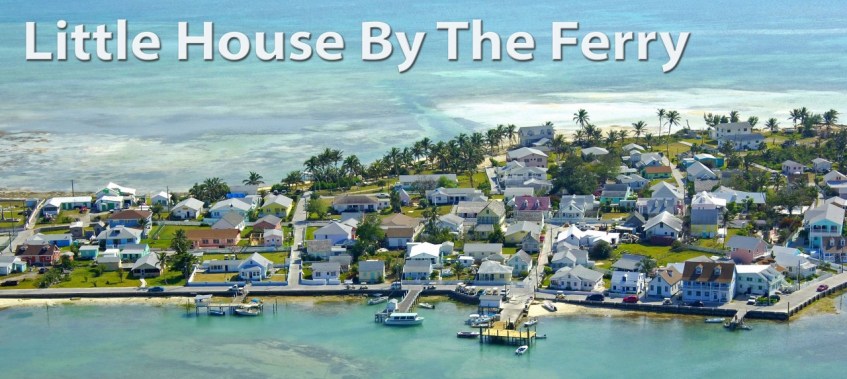 cropped-option-7-copy