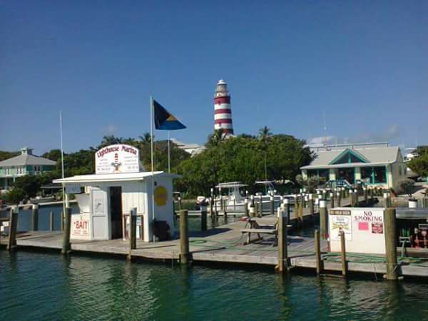 HT Cookie DorothyAnnn Malone