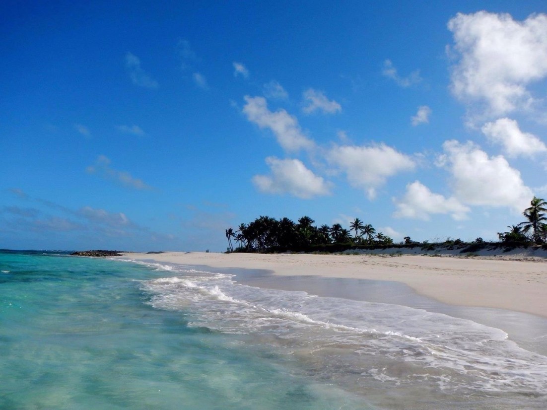 Man-o-War (Jim Albertson via AFS)