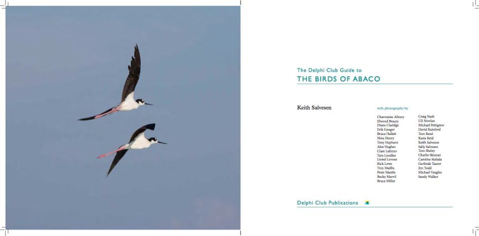 The Birds of Abaco by Keith Salvesen