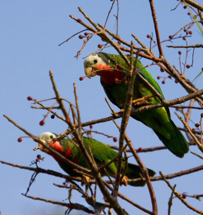 603632_10202662662345336_5325690492923001108_n