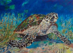 180819_10150391262505716_3791956_n