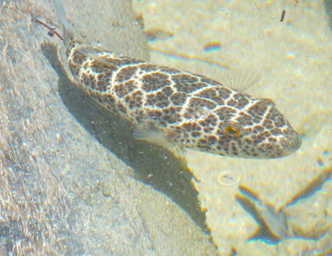 P1080246 - Version 2