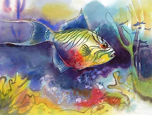 Triggerfish - Brigitte Bowyer Carey - Island Watercolors