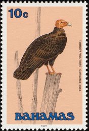 bah199102l