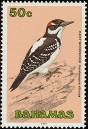 bah199109l