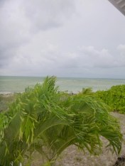 Tropical Storm BPS Cindy James Pinder